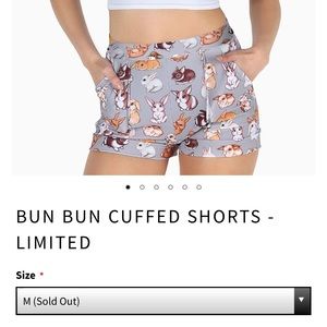 ** ISO ** BLACKMILK BUN BUN SHORTS